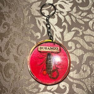 Unique Scorpion Resin Keychain Durango Souvenir Novelty Key Ring